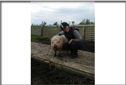 "2 Schweinchen"